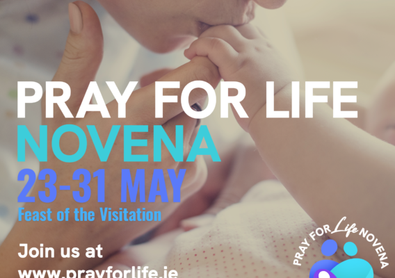 Mother kissing her baby's hand, promoting the Pray for Life Novena from May 23 to 31, highlighting the Feast of the Visitation and inviting participation through the website www.prayforlife.ie.